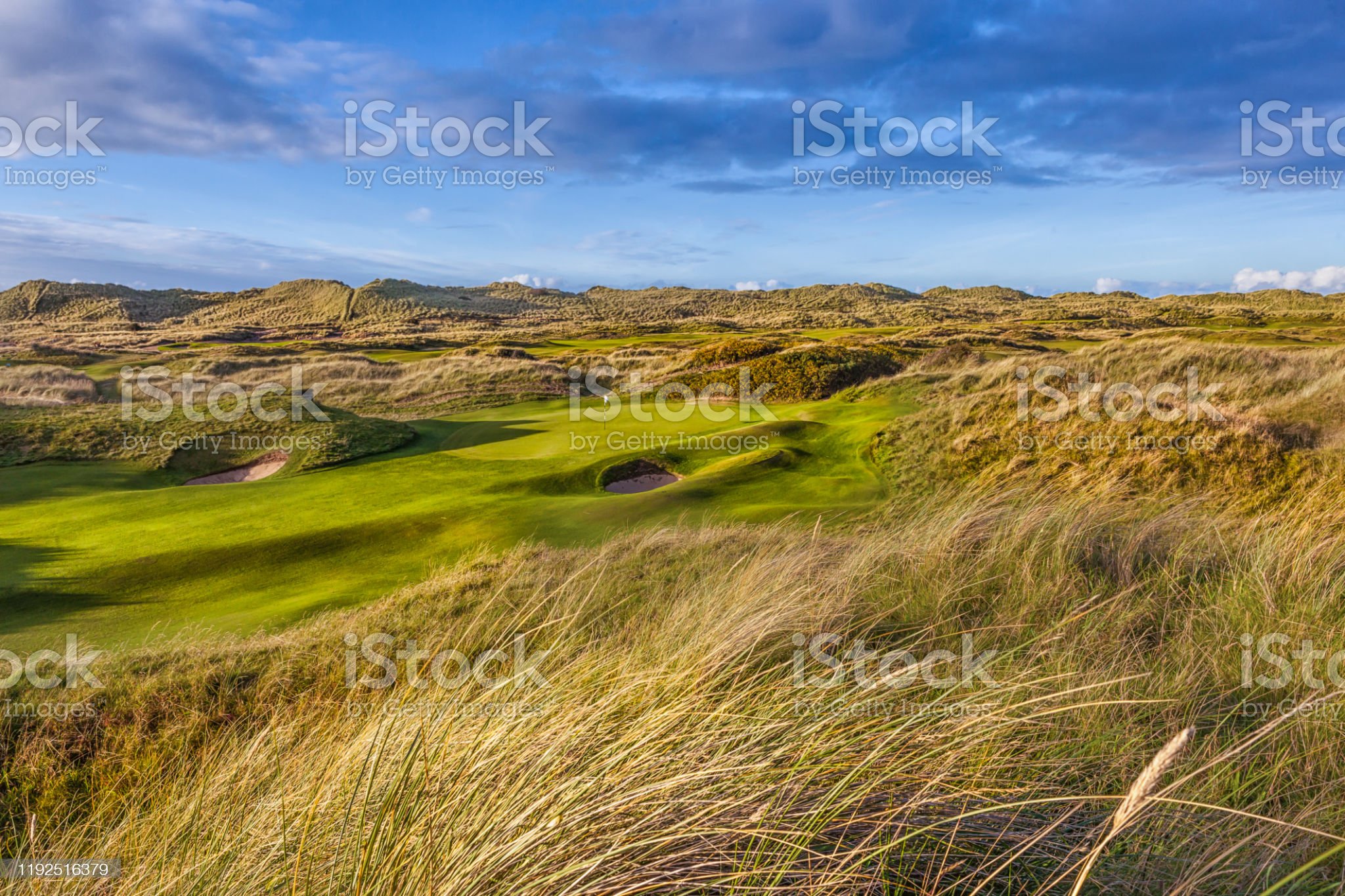 Muriwai Golf